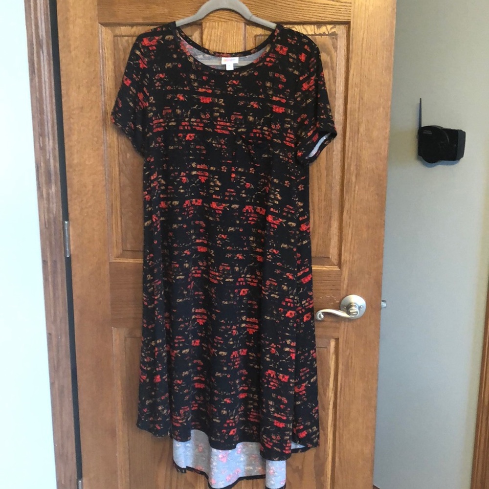 Lularoe Black & Red Floral Stripe Carly DressNWOT